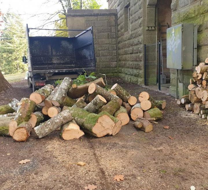 Service d’abattage arbre Orne